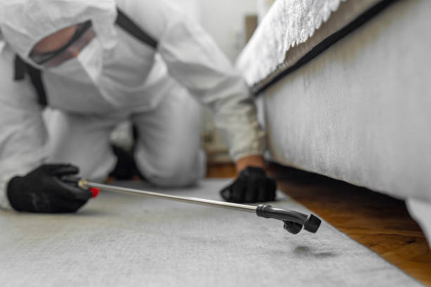Professional Bed Bug Control technician working in Allentown, PA