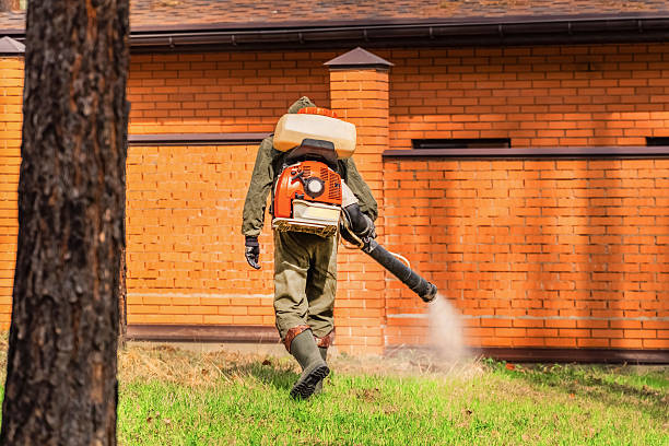 Trusted Cockroach Control service in Allentown, PA - Nex Pest Control